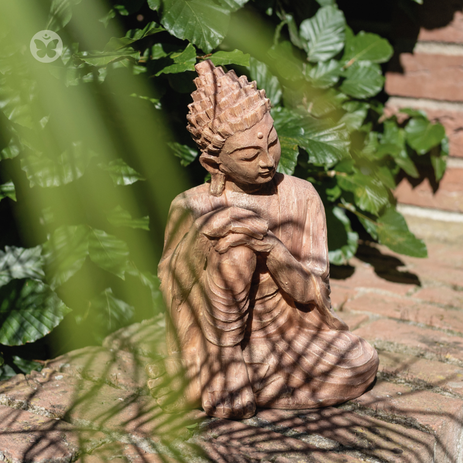 Yoga Schmetterling Life Balance Yoga für mehr Leichtigkeit im Leben mit Hatha Yin Yoga Vinyasa Yogastunden Yogastudio Yogaklassen in Kerpen Bergheim Erftstadt Nörvenich Elsdorf Frechen Erftkreis