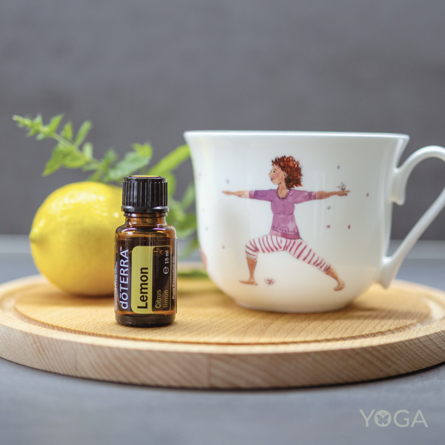 Yoga Schmetterling Life Balance Yoga für mehr Leichtigkeit im Leben mit Hatha Yin Yoga Vinyasa Yogastunden Yogastudio Yogaklassen in Kerpen Bergheim Erftstadt Nörvenich Elsdorf Frechen Erftkreis